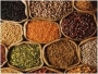 Granos y Cereales